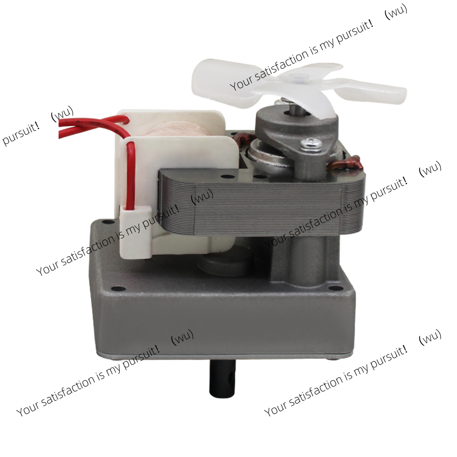 Silnik ślimakowy 220V 2.0 obr. – Electric Smoker Bbq recenzja i cena